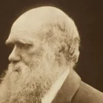 Darwin and Human Exceptionalism