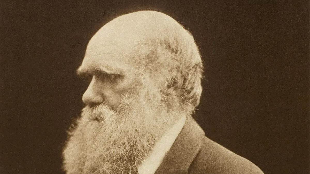 Darwin and Human Exceptionalism