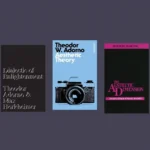 Book covers: Selected Writings, Volume 3: 1935-1938, Dialectic of Enlightenment, Aesthetic Theory, The Aesthetic Dimension, The Aesthetic Ground of Critical Theory.